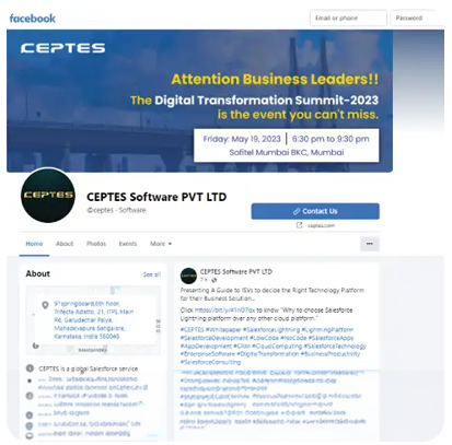 CEPTES SOFTWARE