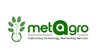 Logo 6